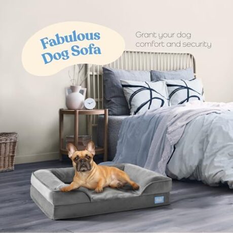 Orthopedic Sofa Dog Bed - Ultra Comfortable Dog Beds for Medium Dogs