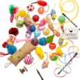 Fashion's Talk Cat Toys Variety Pack for Kitty 20 Pieces