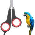 Bird-Nail-Clipper-Grooming-Tool-Nail-Scissors-Clipper-Pet-Bird.jpg