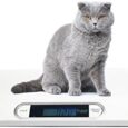 Digital-Portable-Pet-Dog-Cat-Scale-44-lb-x-022.jpg