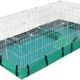 MidWest-Homes-for-Pets-Guinea-Habitat-Plus-Guinea-Pig-Cage.jpg
