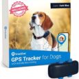 Tractive-GPS-Tracker-Health-Monitoring-for-Dogs-Market.jpg