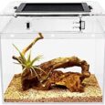 Mini-Reptile-Terrarium8-x-8x-8-Reptile-Tank-with-Full-View.jpg