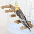 Bird-Parrot-Ladder-Perch-for-Cage-Nature-Wooden-Bird-Bridge.jpg