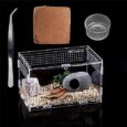 Micro-Habitat-Glass-Container-Reptile-TerrariumAmphibian-Tank-Starter-Kit（4pc-Set）.jpg