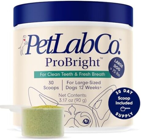 PetLab Co. ProBright Dental Powder - Dog Breath Freshener - Teeth Cleaning Made Easy – Targets Tartar & Bad Breath - Formulated for Large Dogs