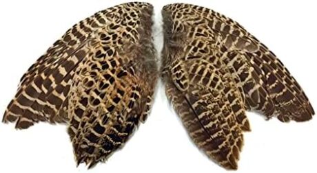 1-Pair-Natural-Ringneck-Pheasant-Hen-Whole-Wing-Feather