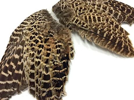 1 Pair - Natural Ringneck Pheasant Hen Whole Wing Feather Set (Left and Right) Dog Training Fly Tying Supply -A | Moonlight Feather