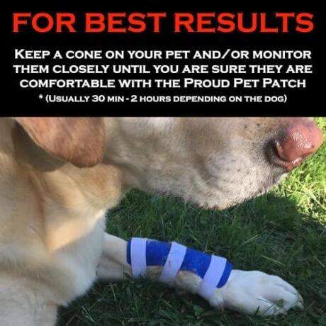 Proud Pet Patches A Better Dog Bandage for Wound Care