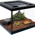 Mini-Reptile-Glass-Terrarium-Tank-8-8-6.jpg