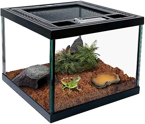Mini-Reptile-Glass-Terrarium-Tank-8-8-6.jpg