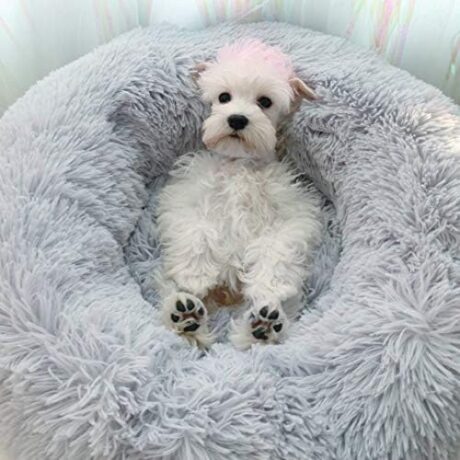 BODISEINT Modern Soft Plush Round Pet Bed for Cats or Small Dogs