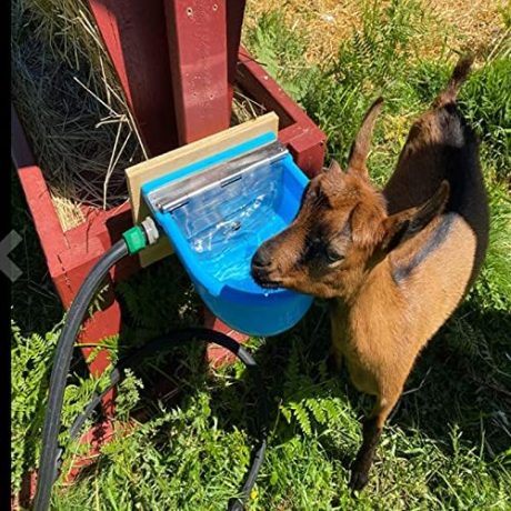 Automatic Water Bowl Plastic Livestock Waterer for Horse