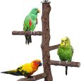 Bird-Perch-Stand-Toy-Natural-Wood-Parrot-Perch-Bird-Cage.jpg