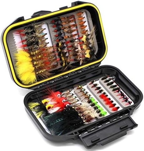 Fly Fishing Flies Assortment Kit Dry Wet Nyphms Tenkara Popper Streamer Woolly Bugger for Trout Bass Salmon Steelhead with Fly Box