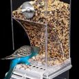 No-Mess-Bird-FeederAutomatic-Bird-Feeder-for-CageBird-Cage-FeederParakeet.jpg