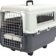 SportPet-Designs-Plastic-Kennels-Rolling-Plastic-Wire-Door-Travel-Dog.jpg