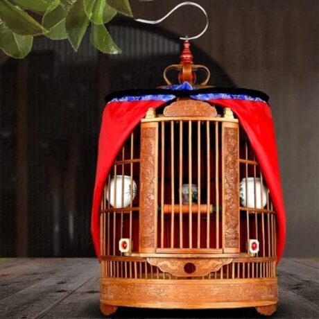 Professional Birdcage Pet Supplies Bird Carrier Gardening Decor Cages Bird with A Full Set of Accessories Pet Bird with Handle