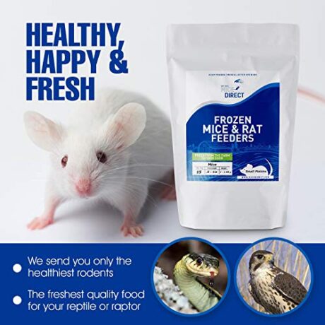 MiceDirect Frozen Pinkie Rat Food for Corn, Rat, King Snakes & Other repitles.