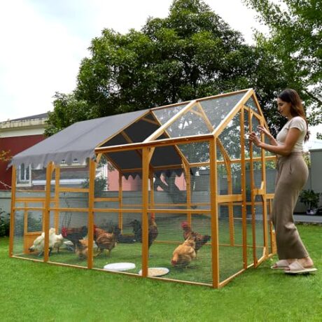 Large Chicken Coop with Waterproof Cover Wooden Walk